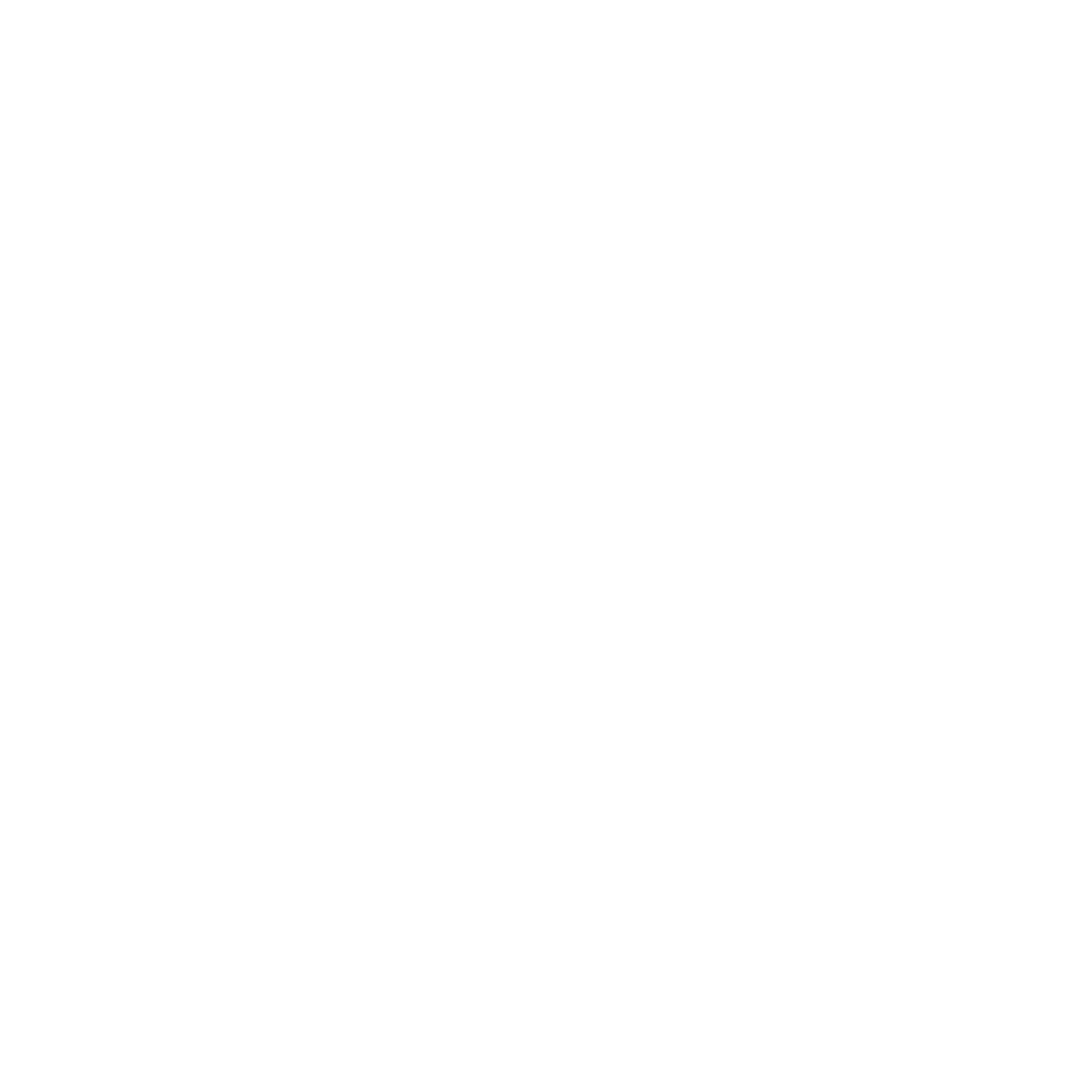 Viventra Logo